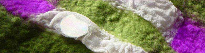 Felt scarf by Debbie Siniska