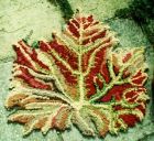 Maple Leaf Rug